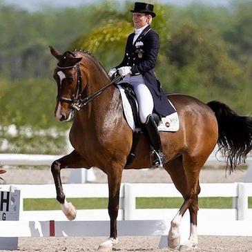 Niagara Equissage is used by Susie Dutta on her horse